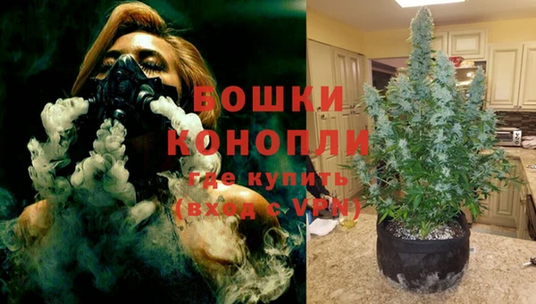 индика Бородино