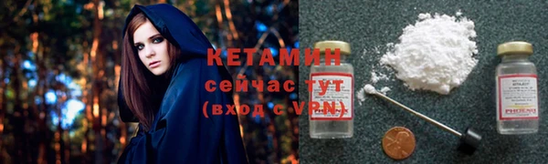 индика Бородино