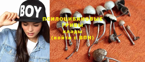 индика Бородино