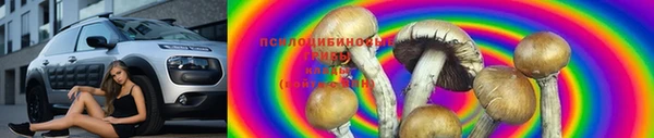амф Верея