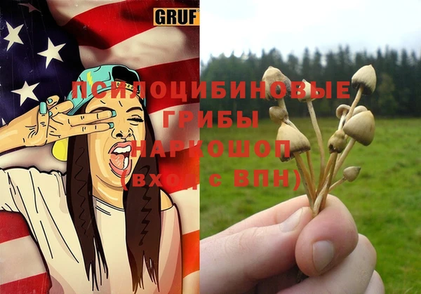 индика Бородино