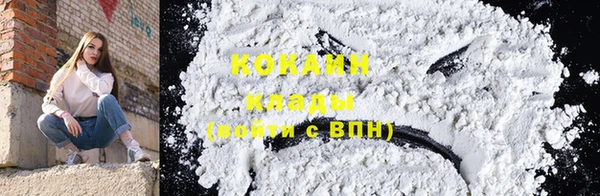 индика Бородино