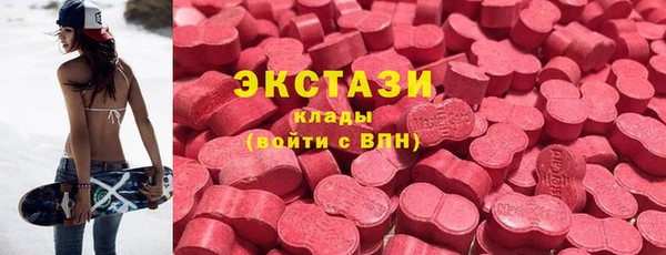 индика Бородино